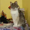 Отзыв от Эмма Калашникова